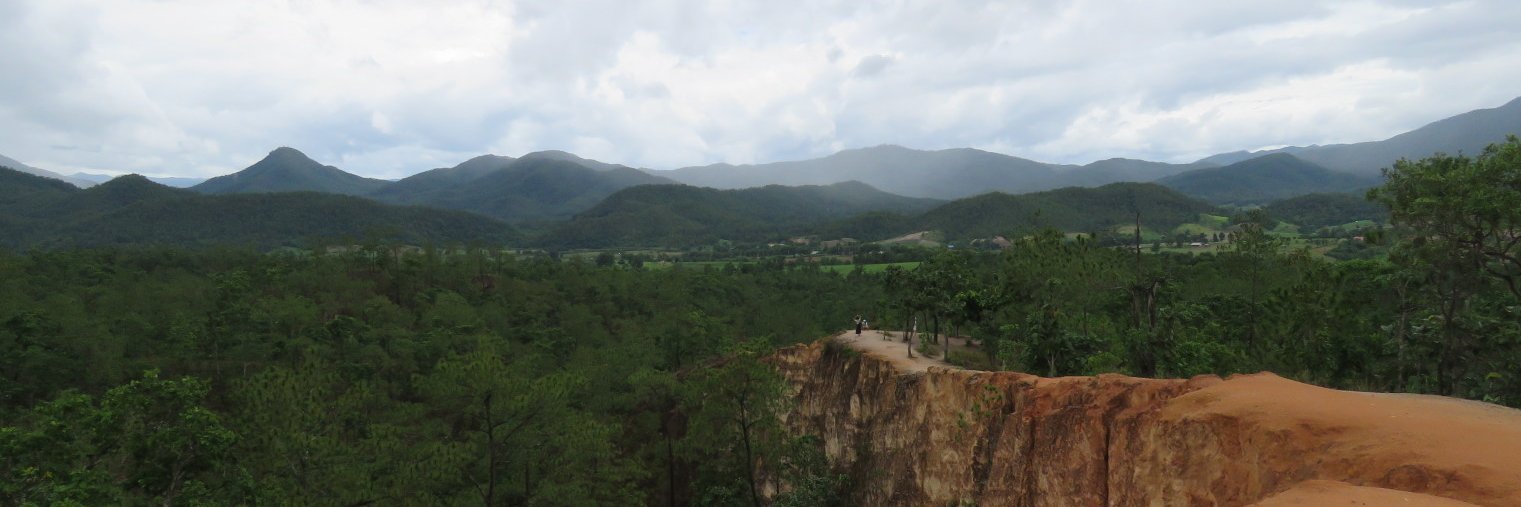 Custom Wetware banner