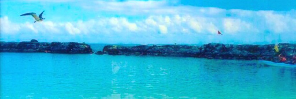 klgerard_'s profile banner image