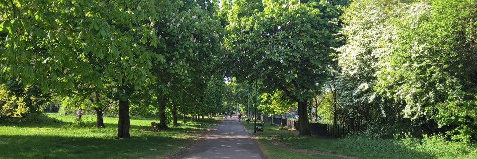 AlisonWareham1's profile banner image