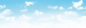 albert maritz banner
