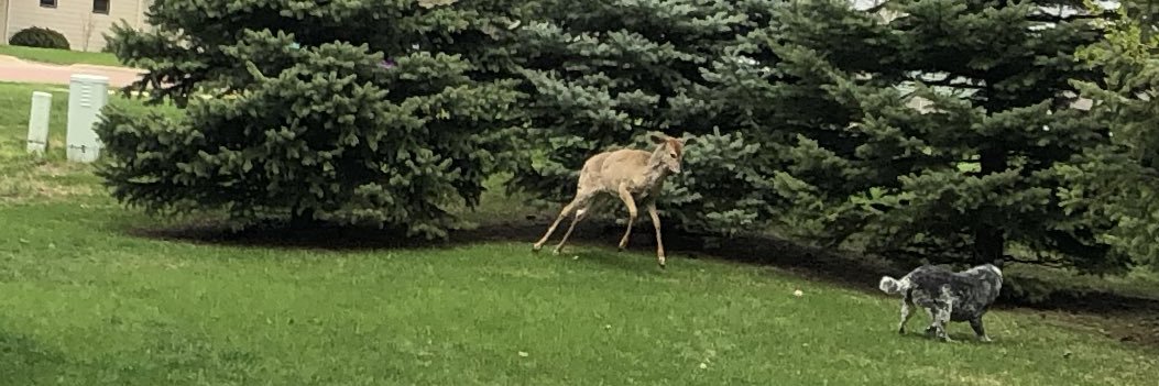 david provance banner
