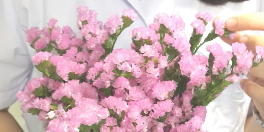 Paloyploysi's profile banner image