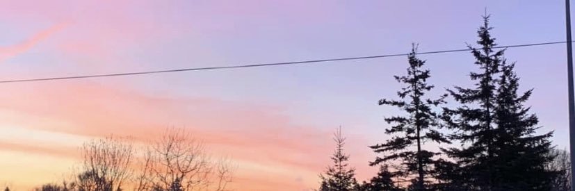 HollieFaubert's profile banner image