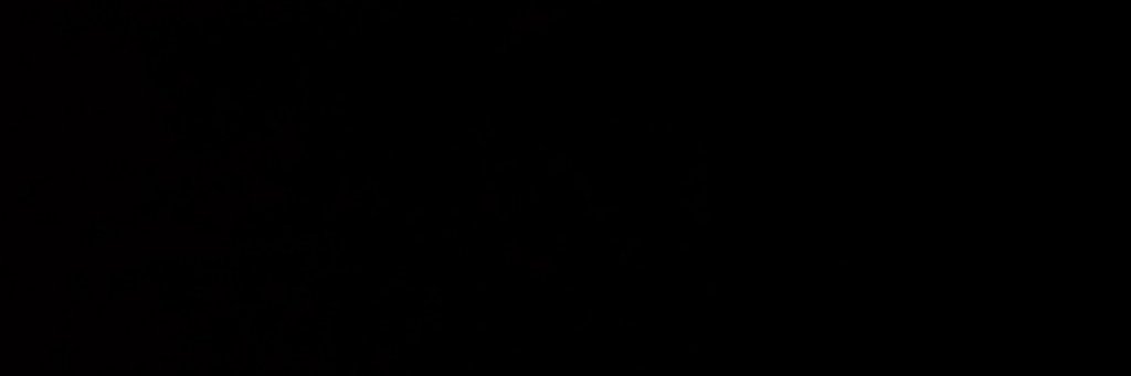 Virginie Julliard banner