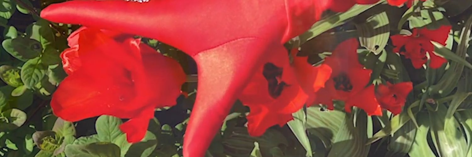 telepathic_orb's profile banner image