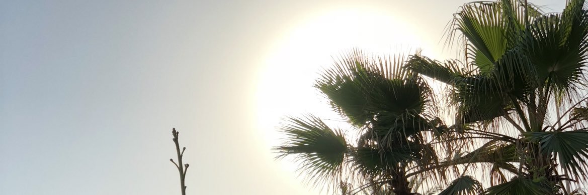 RhyysO's profile banner image