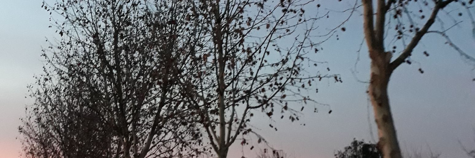 AnaCarranzaC's profile banner image