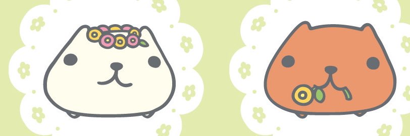 ricardonun's profile banner image