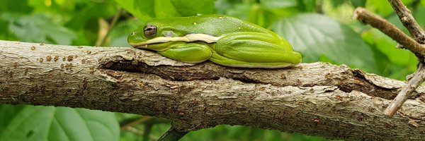 DGHaskell Profile Banner