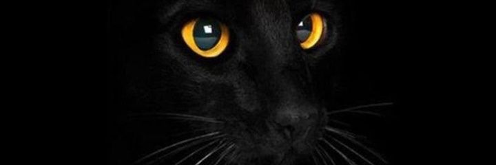 Adelwaa's profile banner image