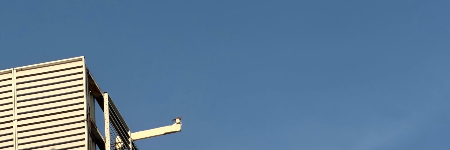 itsjusttum's profile banner image