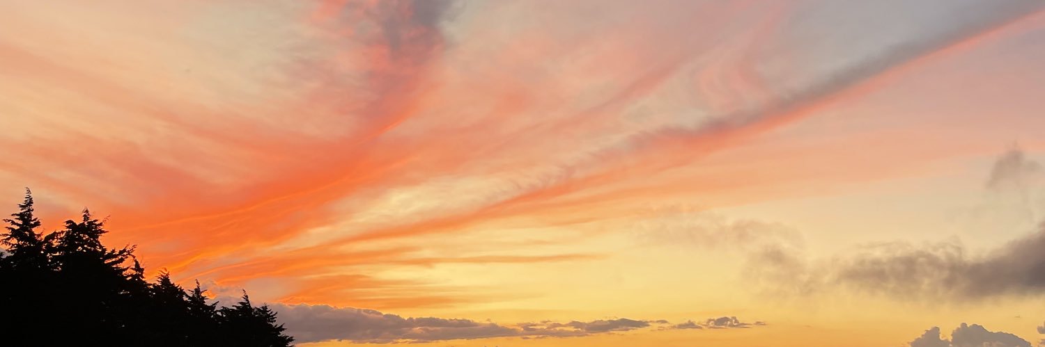 prihidalgoa's profile banner image