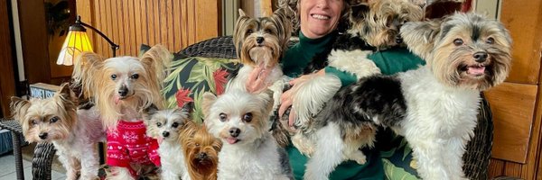 SherryLivering Profile Banner