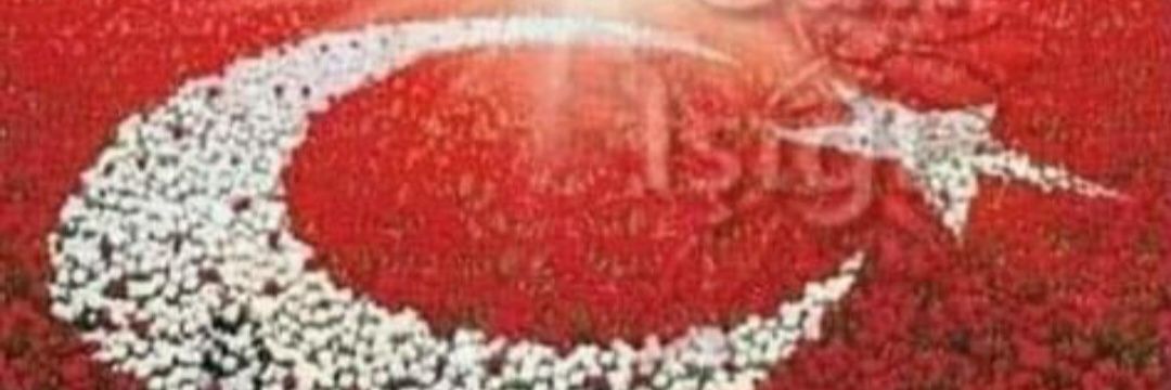 alicosar34's profile banner image