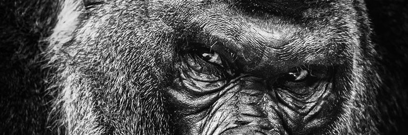 samlubben's profile banner image