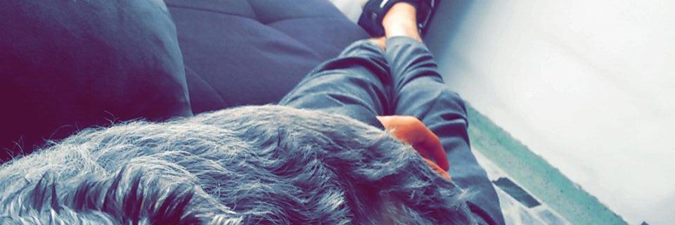 JavierFrancoR_'s profile banner image