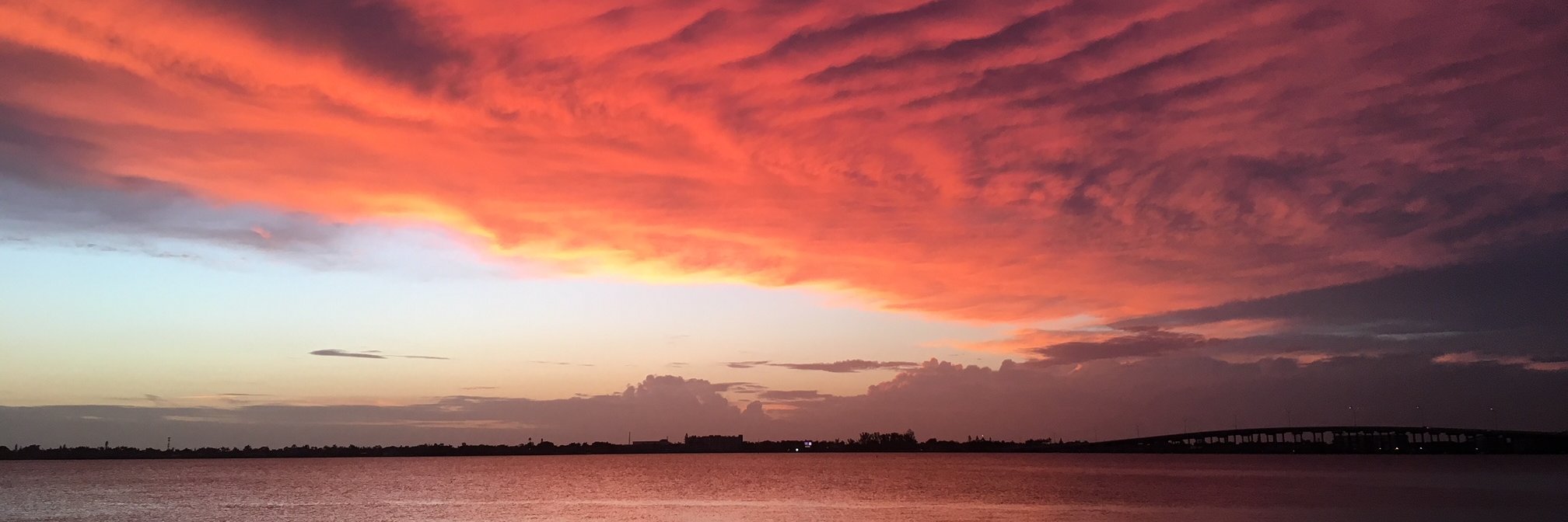 Lynnette Cooke banner