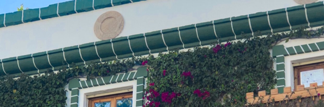 soficastro23's profile banner image