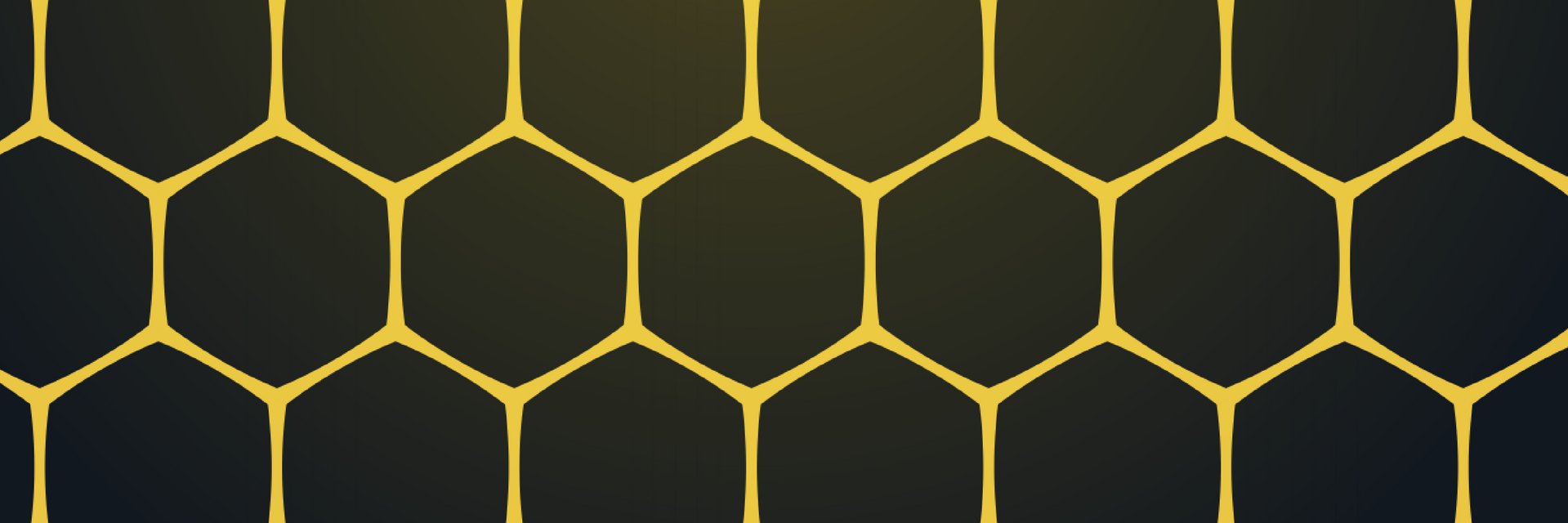 sunstaterollerderby banner