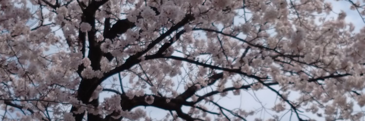 nyls5169's profile banner image
