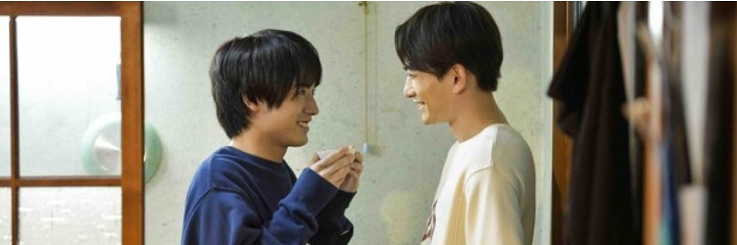 shinemeows's profile banner image