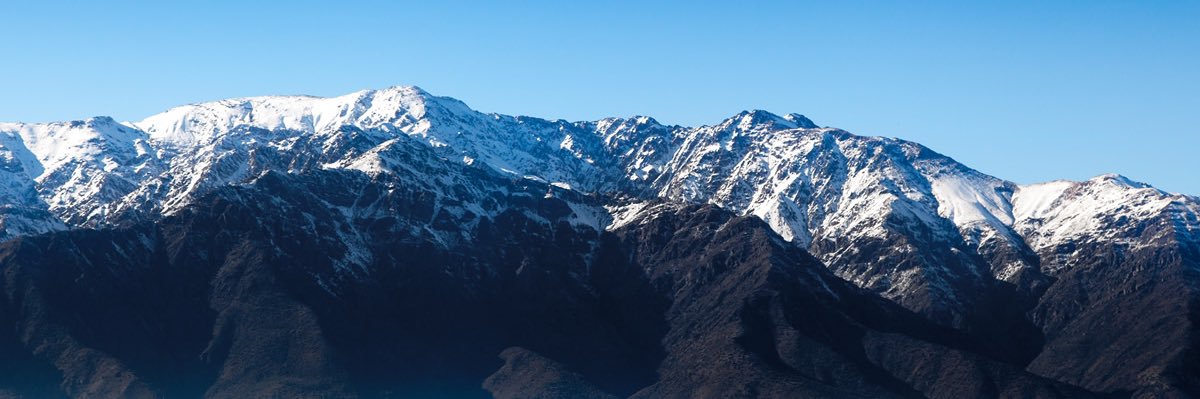 Felipe contesse banner