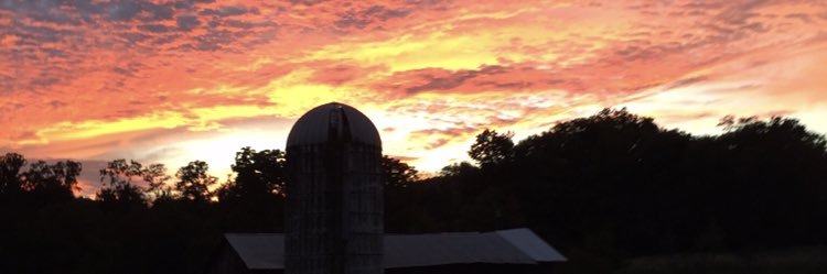 cowslayer17's profile banner image