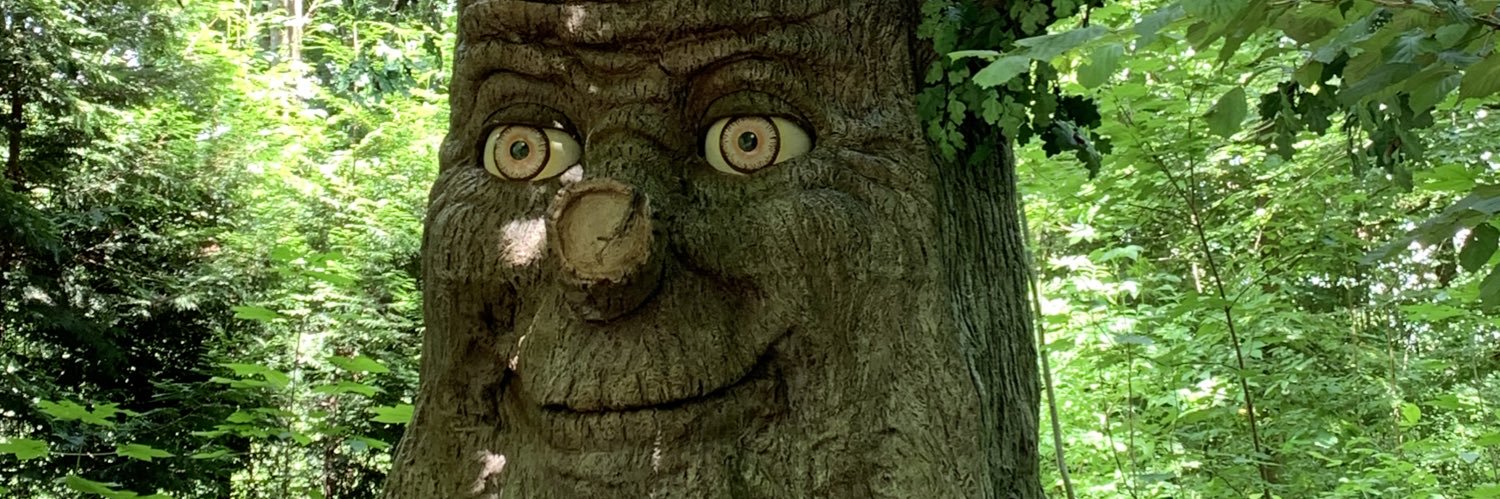 desconectademim's profile banner image