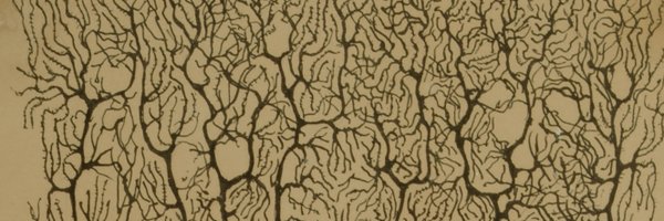 NeuroMikeD Profile Banner