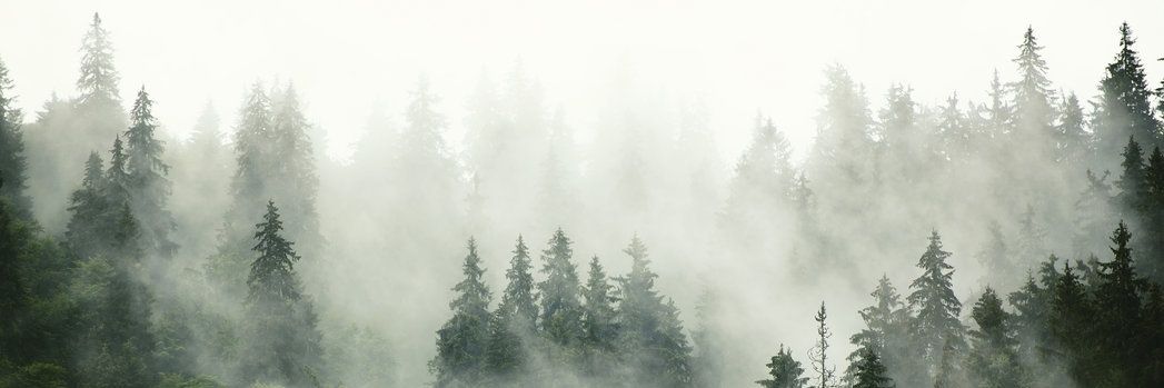 Lima_rcd's profile banner image