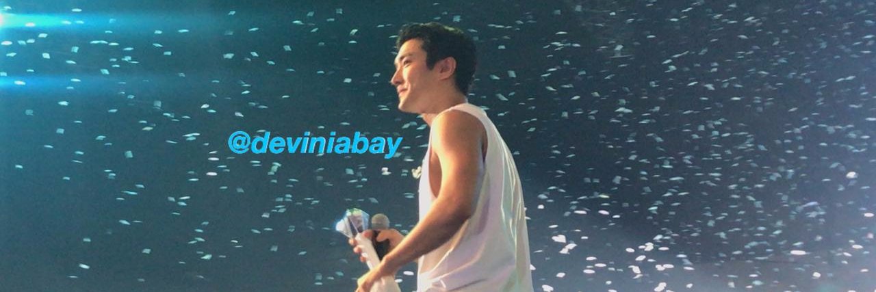 devini h.viertyani banner