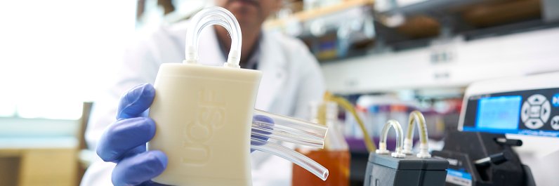 The Kidney Project banner