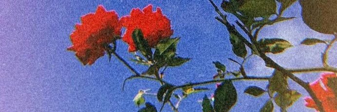 Jumorenol's profile banner image