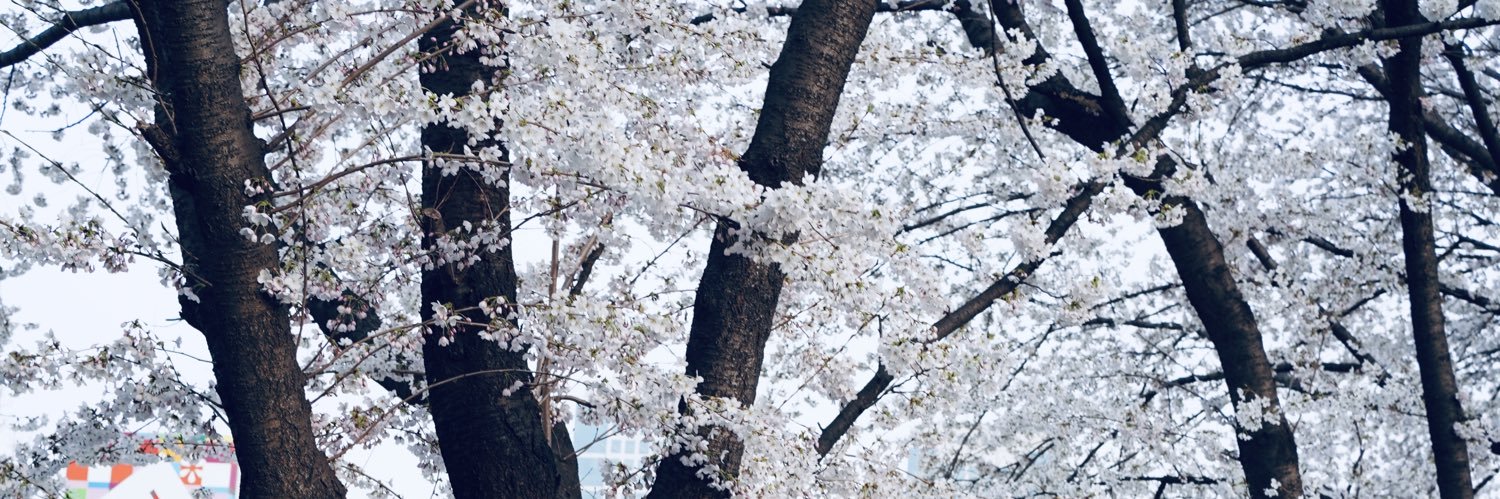 mmiu94's profile banner image