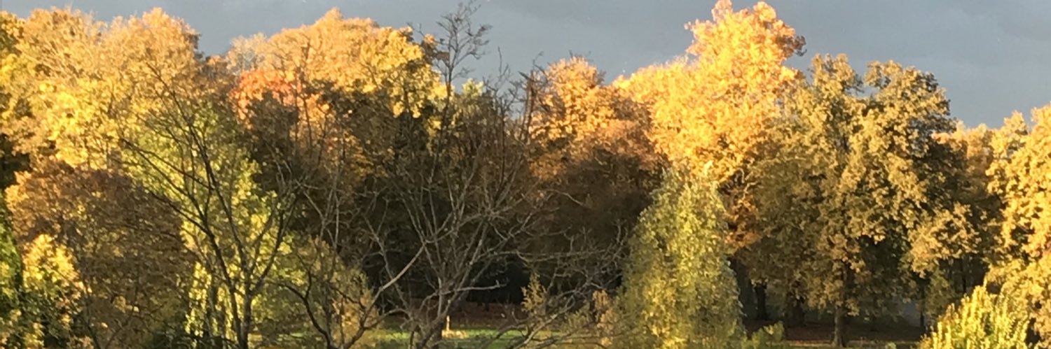 susen63's profile banner image