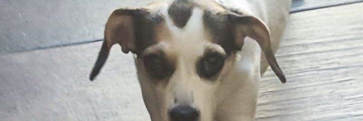 williangalvan1's profile banner image