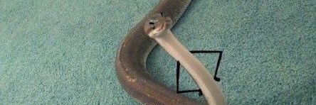 DunnTommy's profile banner image