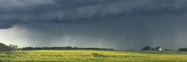 seantrefiak's profile banner image
