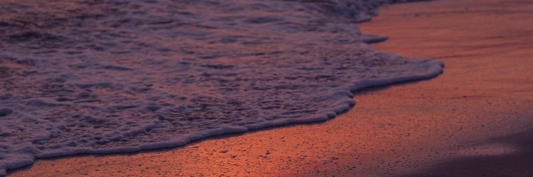 maribelsorell's profile banner image