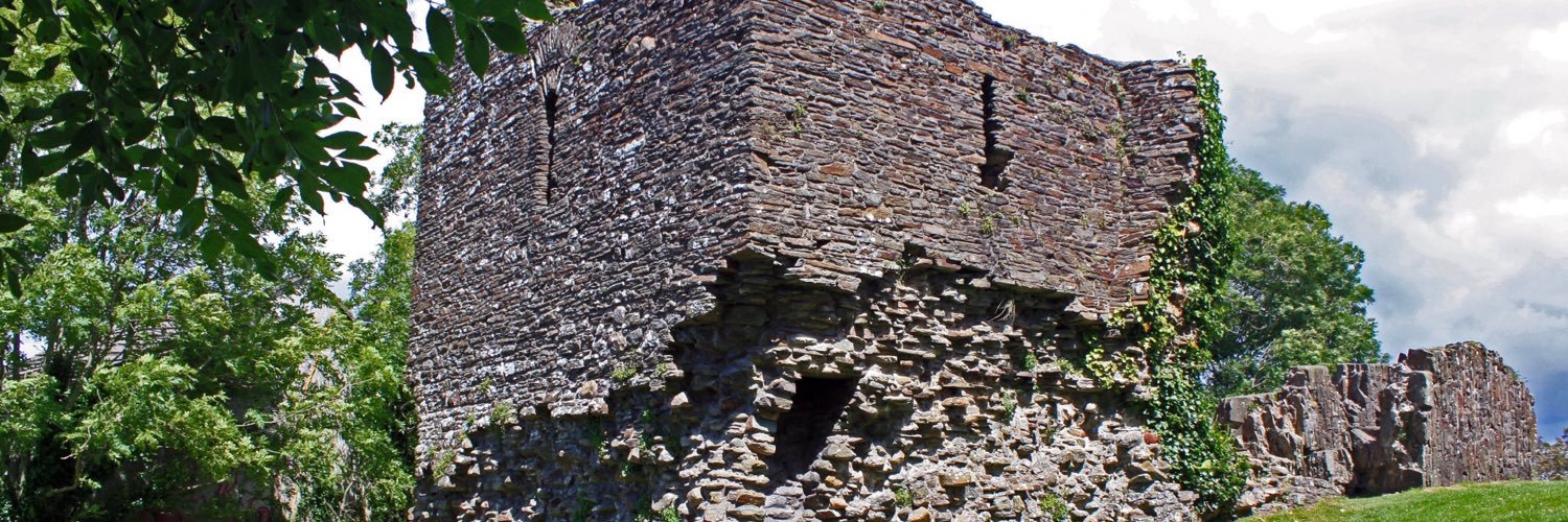 Vilma Gilis Lay banner