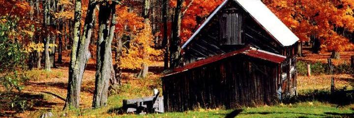 HollyTerry3's profile banner image
