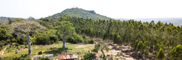 Komaza Profile Banner