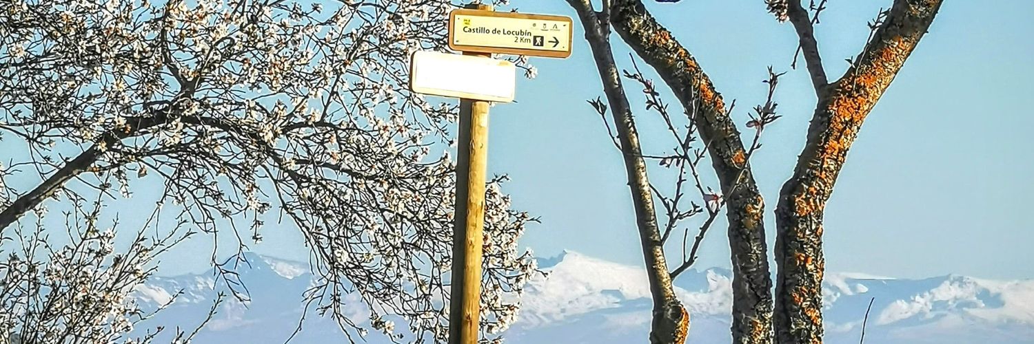 RrKoke's profile banner image