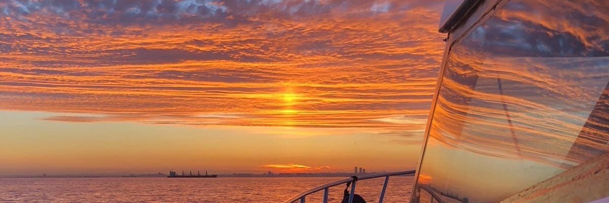 claraamont's profile banner image
