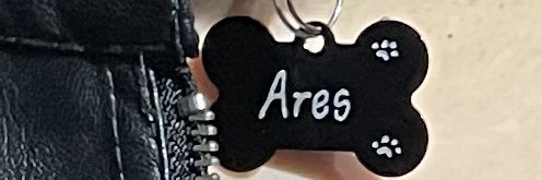 pup_ares_'s profile banner image