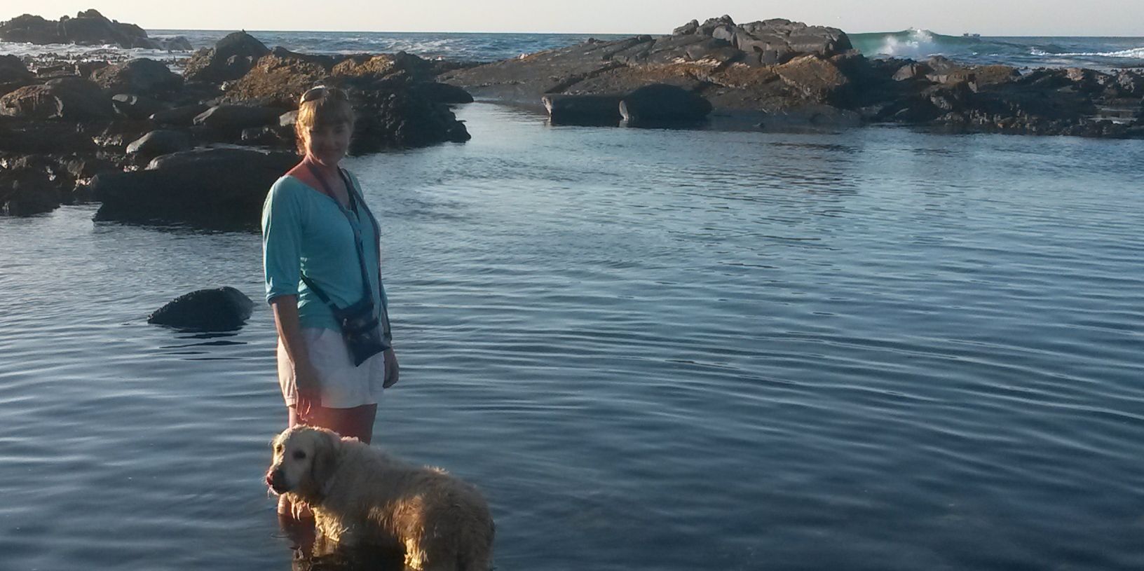 CathyLewthwaite's profile banner image