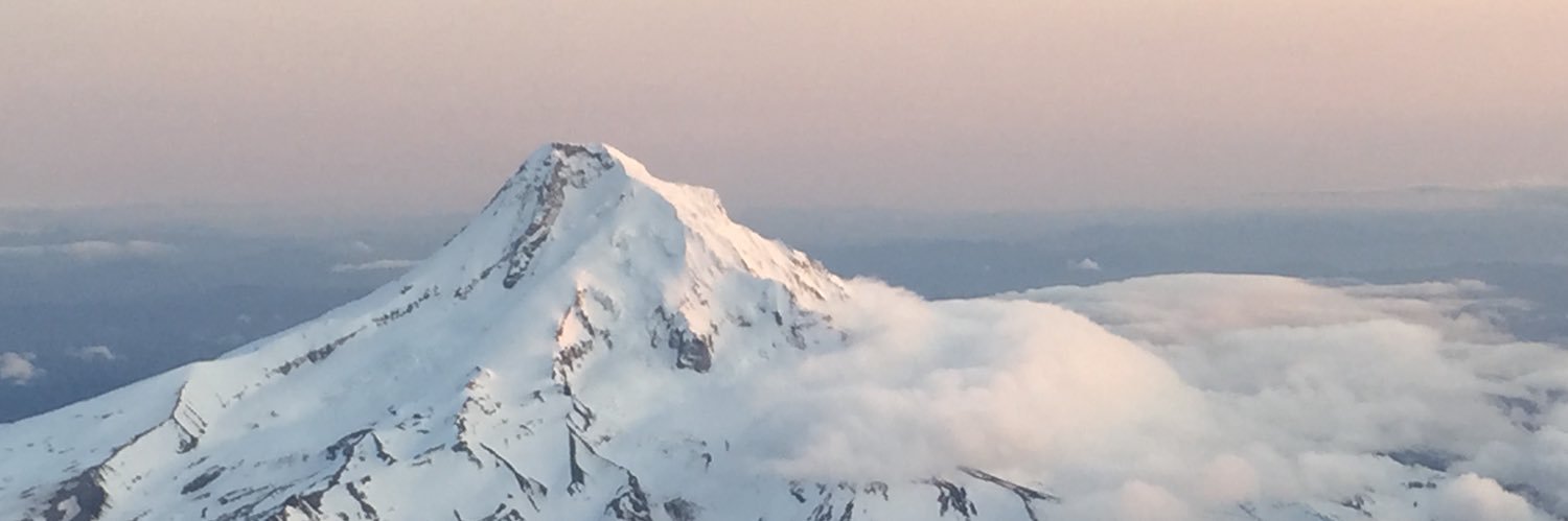 elfie ▪️⬛️▪️ banner