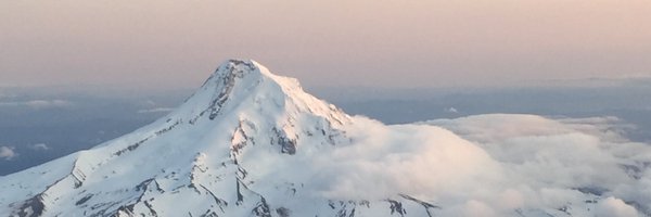 elfie111 Profile Banner