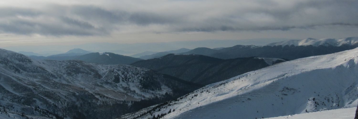 superdrap's profile banner image