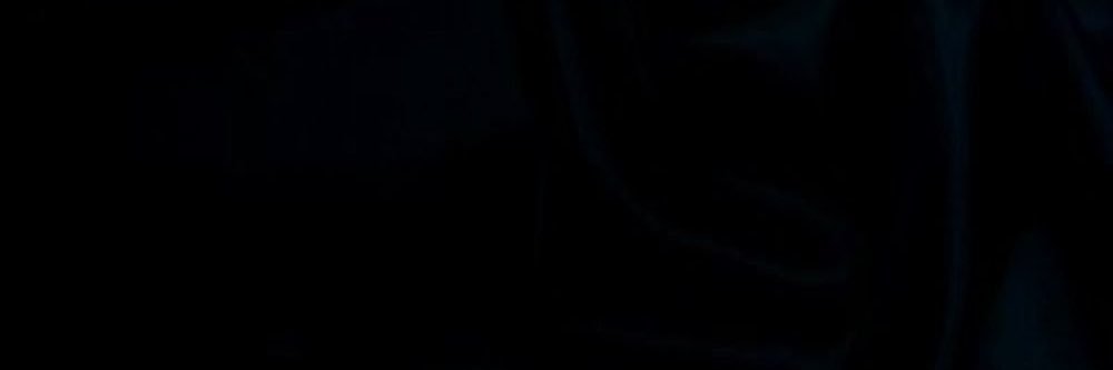 Kevin Williams banner